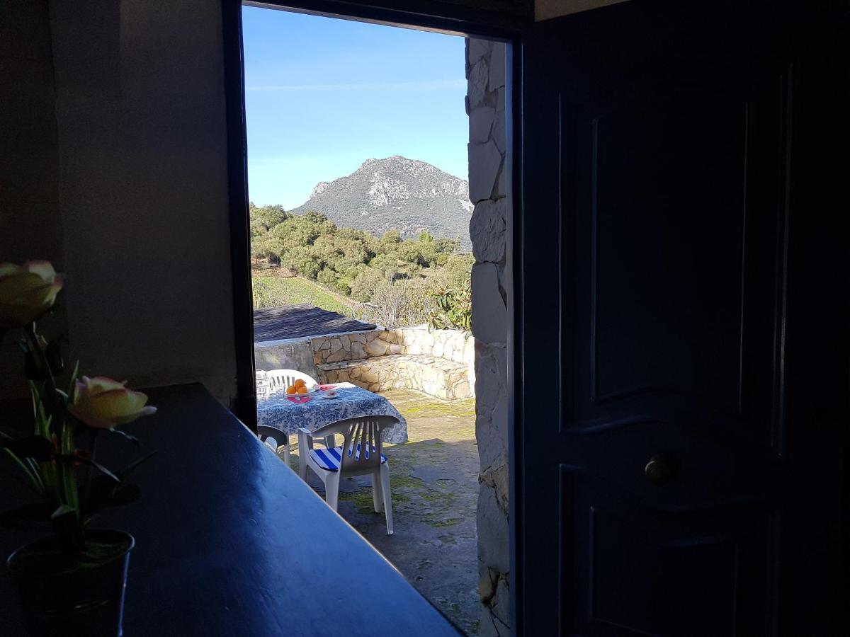 Vivienda Rural Maestro Herrador Ubrique Kültér fotó