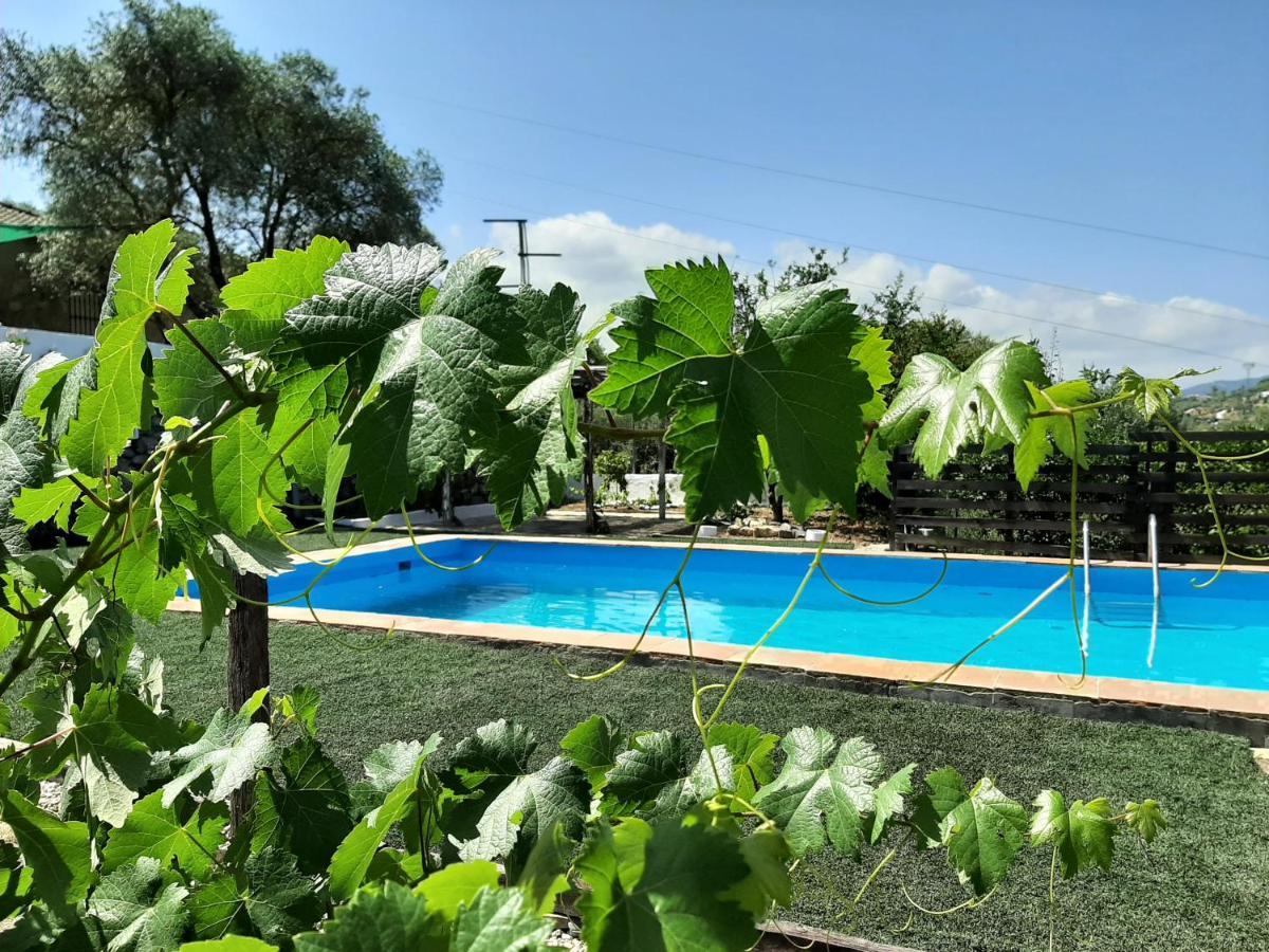Vivienda Rural Maestro Herrador Ubrique Kültér fotó